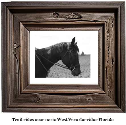 trail rides near me in West Vero Corridor, Florida